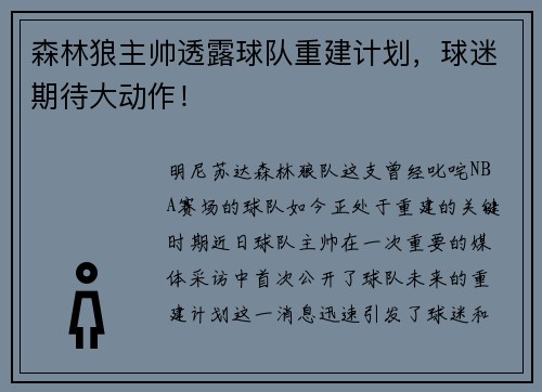 森林狼主帅透露球队重建计划，球迷期待大动作！