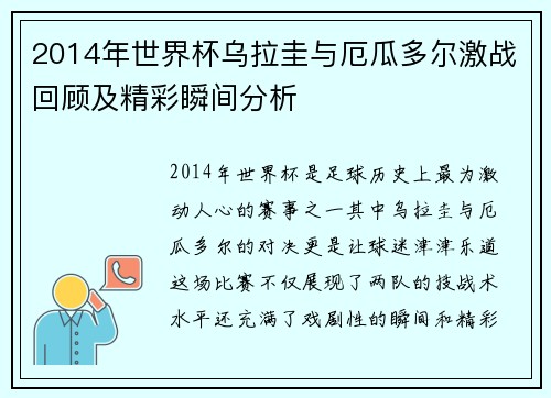 2014年世界杯乌拉圭与厄瓜多尔激战回顾及精彩瞬间分析