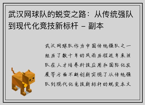 武汉网球队的蜕变之路：从传统强队到现代化竞技新标杆 - 副本